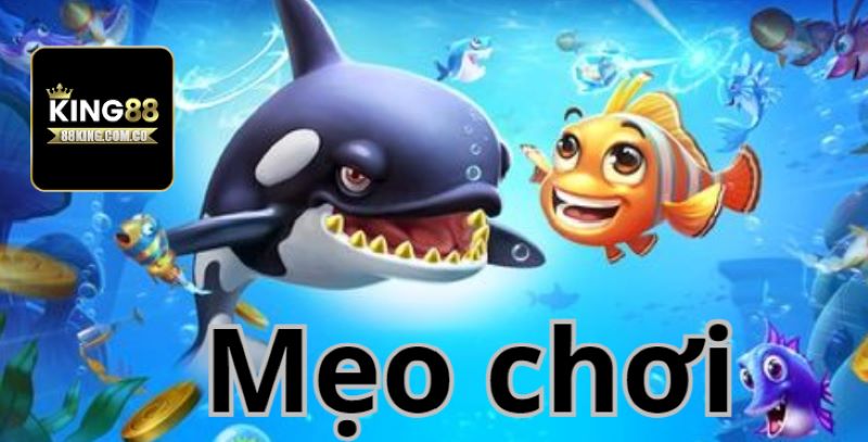 Mẹo chơi bắn cá hiệu quả 